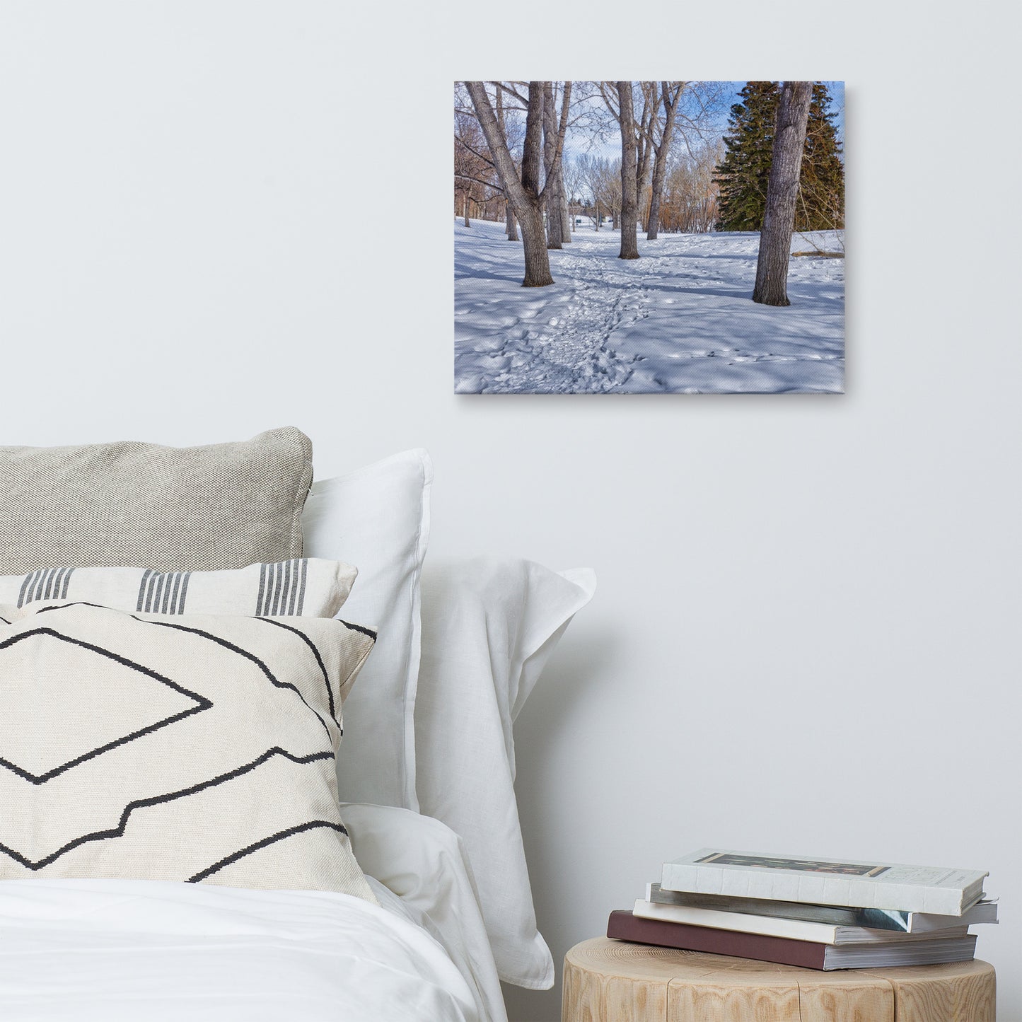 Canvas Print - Confederation Park Winter HDR