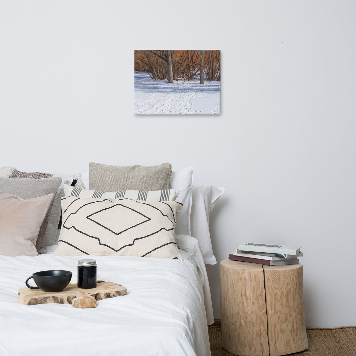 Canvas Print - Confederation Park Winter