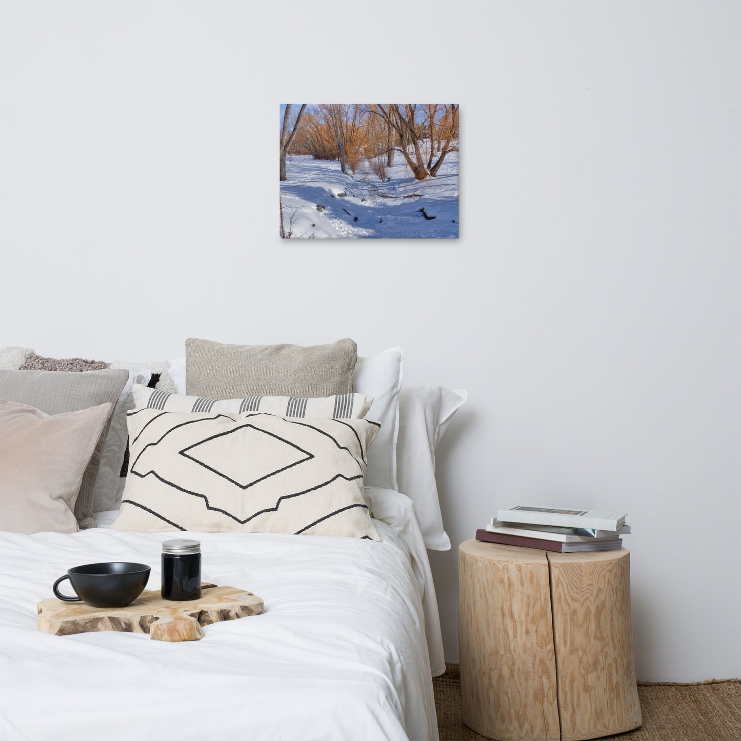 Canvas Print - Confederation Creek Winter HDR