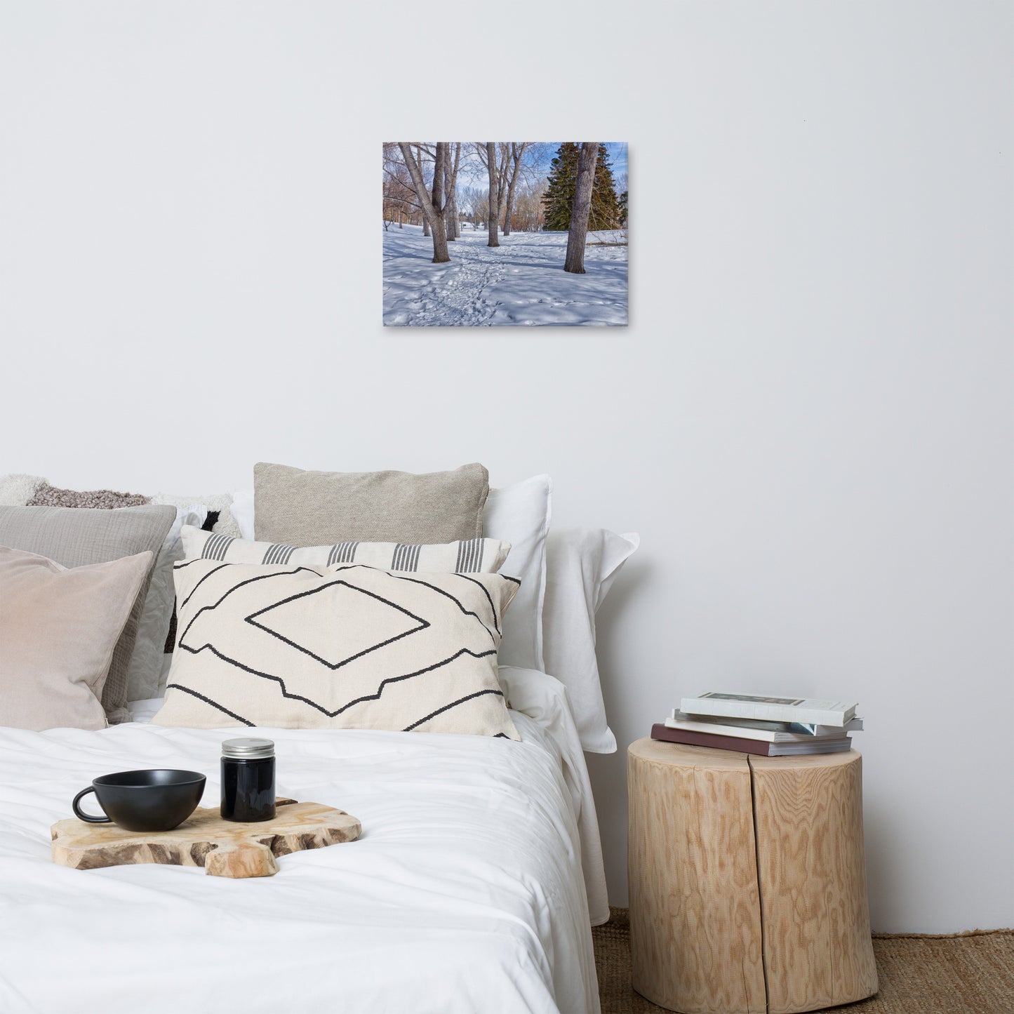 Canvas Print - Confederation Park Winter HDR