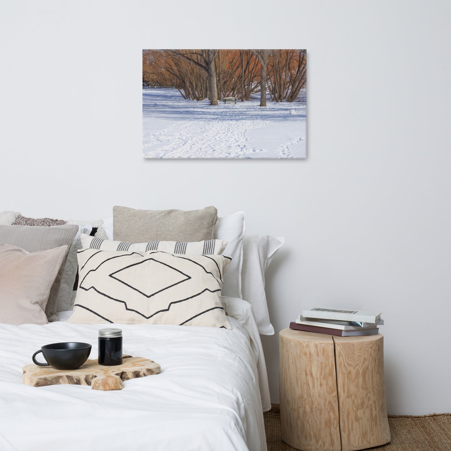 Canvas Print - Confederation Park Winter