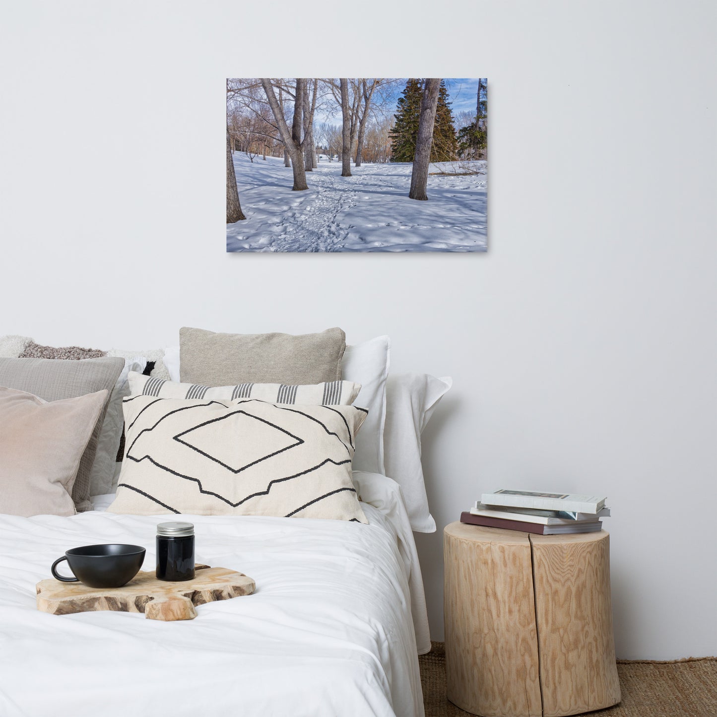 Canvas Print - Confederation Park Winter HDR
