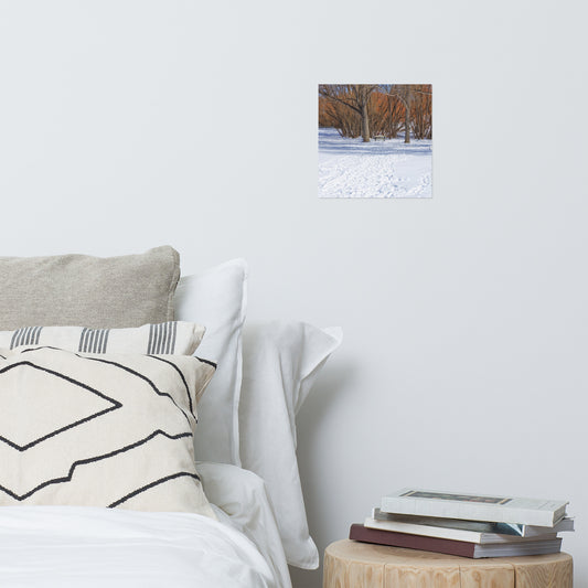 Matte Poster Print - Confederation Park Winter