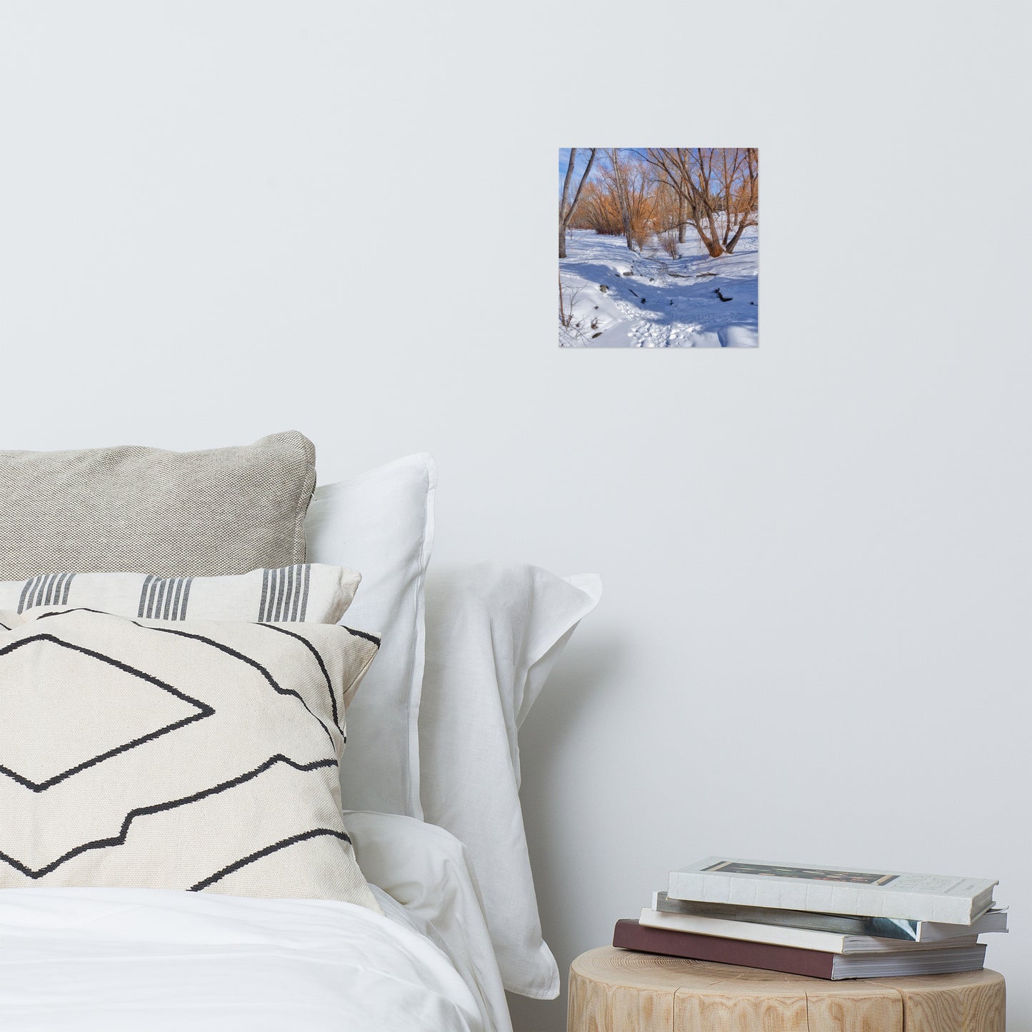 Matte Poster Print - Confederation Creek Winter HDR