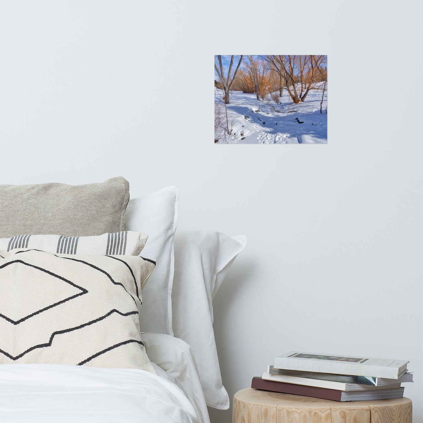 Matte Poster Print - Confederation Creek Winter HDR