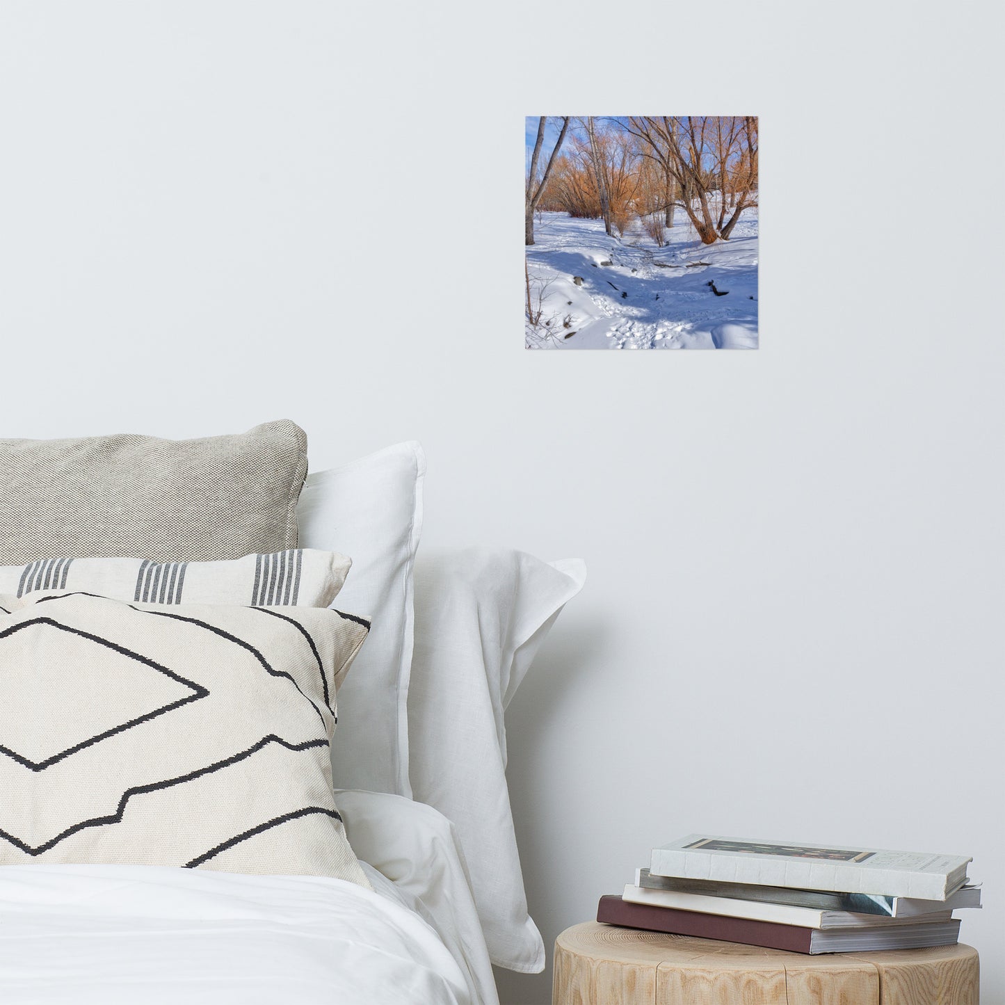 Matte Poster Print - Confederation Creek Winter HDR
