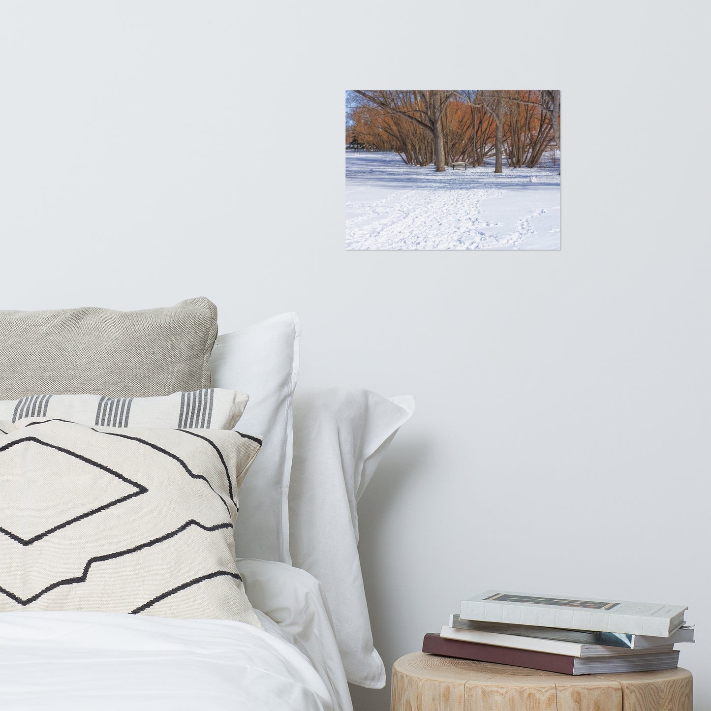 Matte Poster Print - Confederation Park Winter