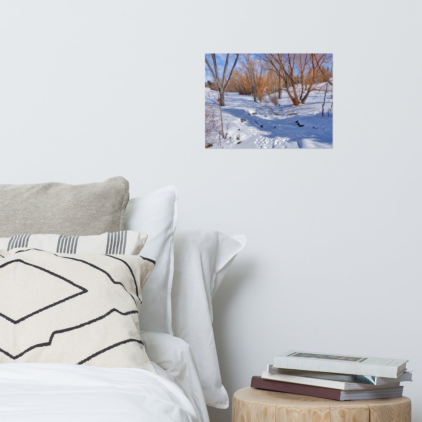 Matte Poster Print - Confederation Creek Winter HDR