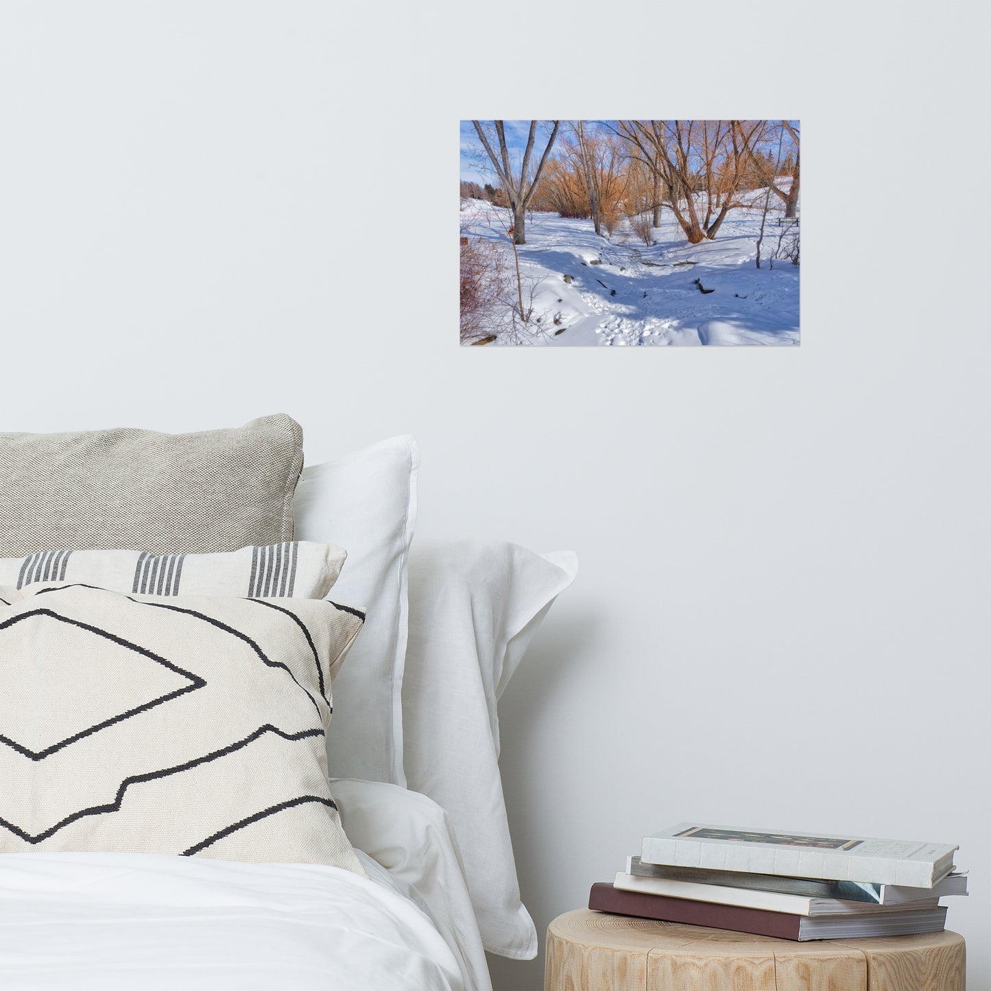 Matte Poster Print - Confederation Creek Winter HDR