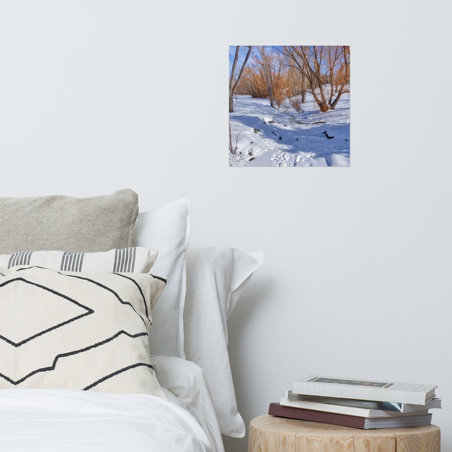 Matte Poster Print - Confederation Creek Winter HDR