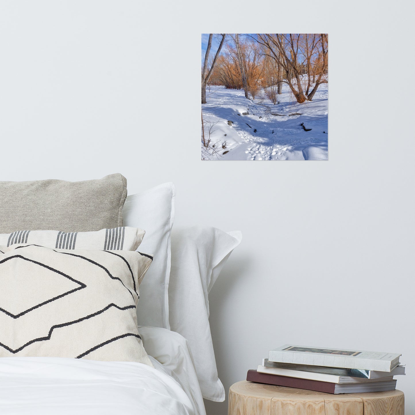 Matte Poster Print - Confederation Creek Winter HDR