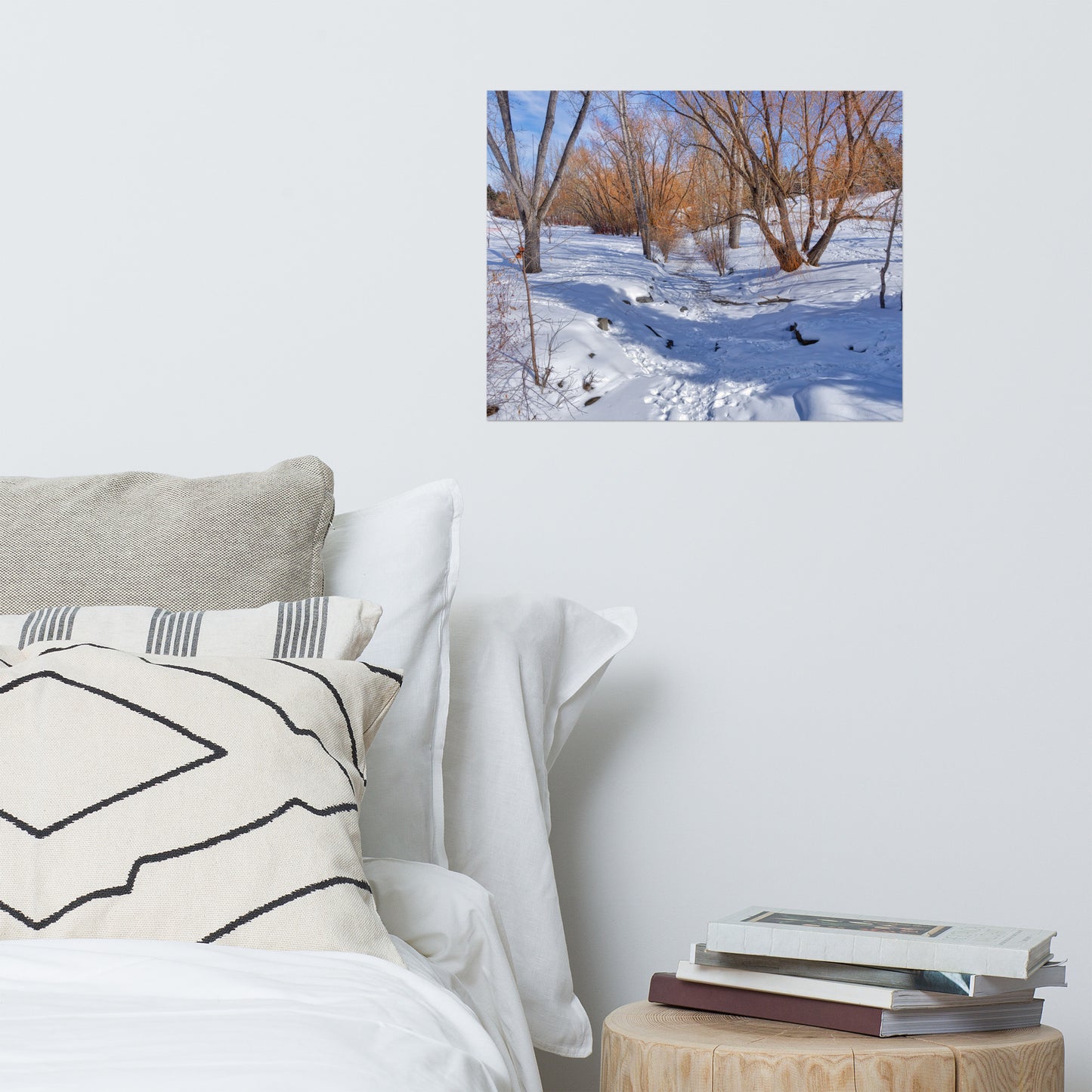 Matte Poster Print - Confederation Creek Winter HDR