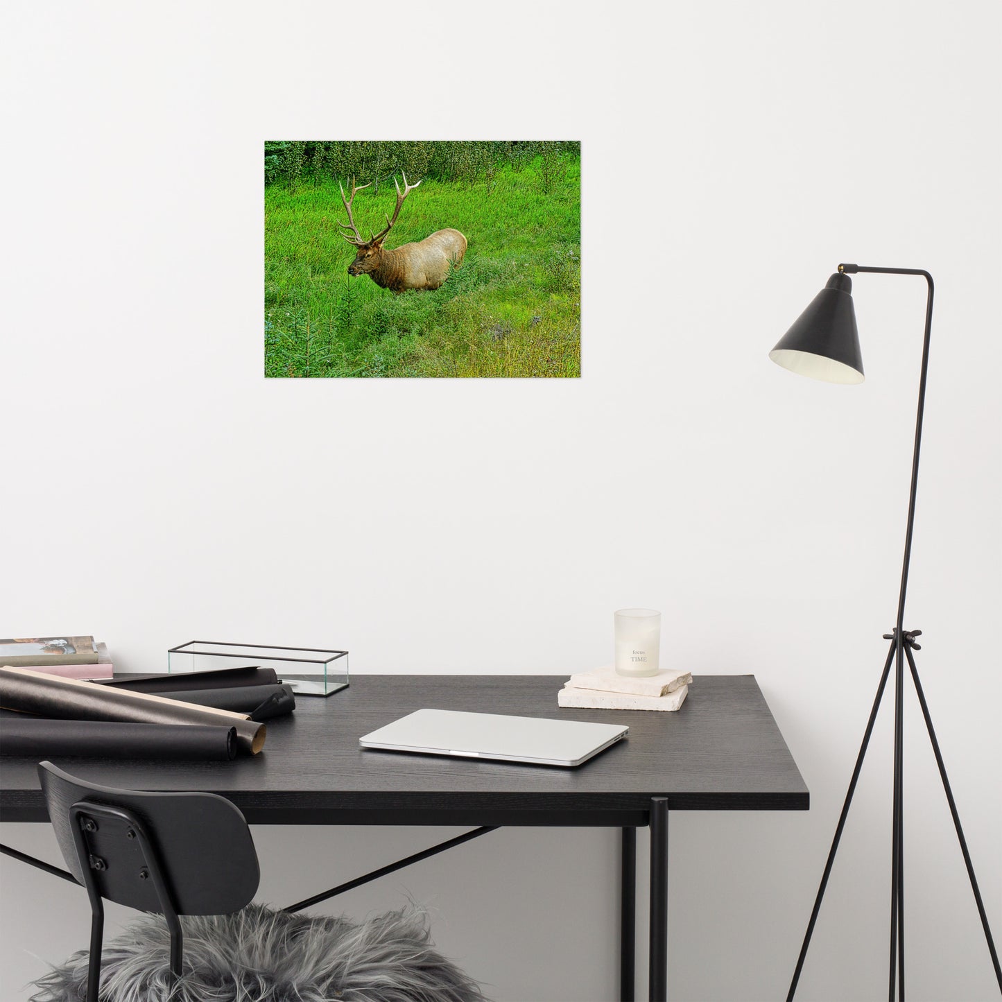 Matte Poster Print - Jasper National Park Elk