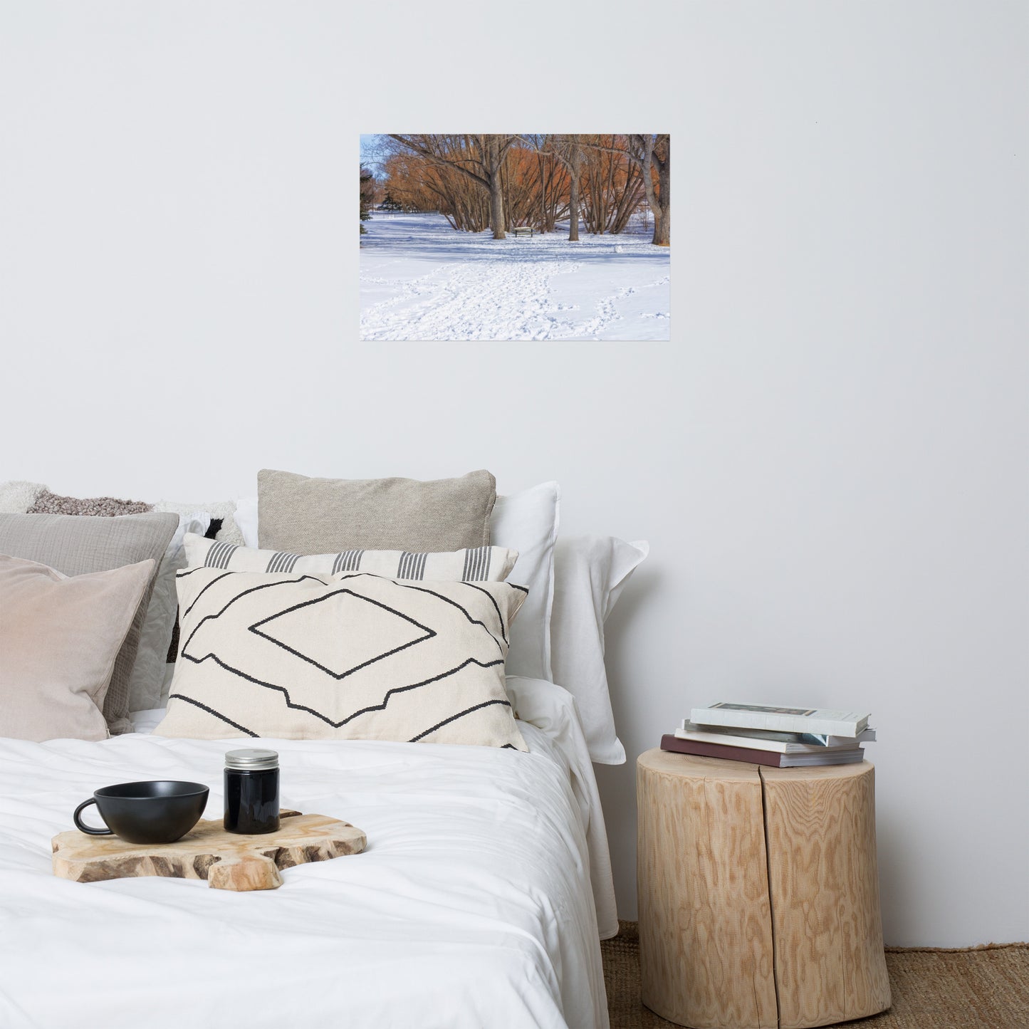 Matte Poster Print - Confederation Park Winter