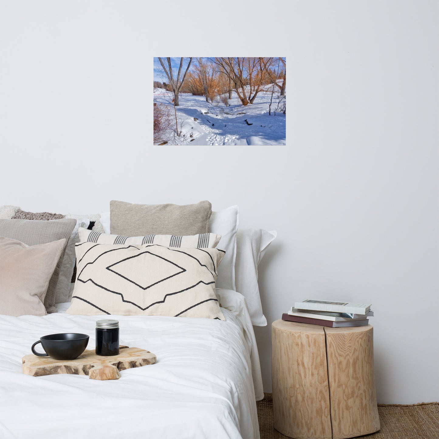 Matte Poster Print - Confederation Creek Winter HDR