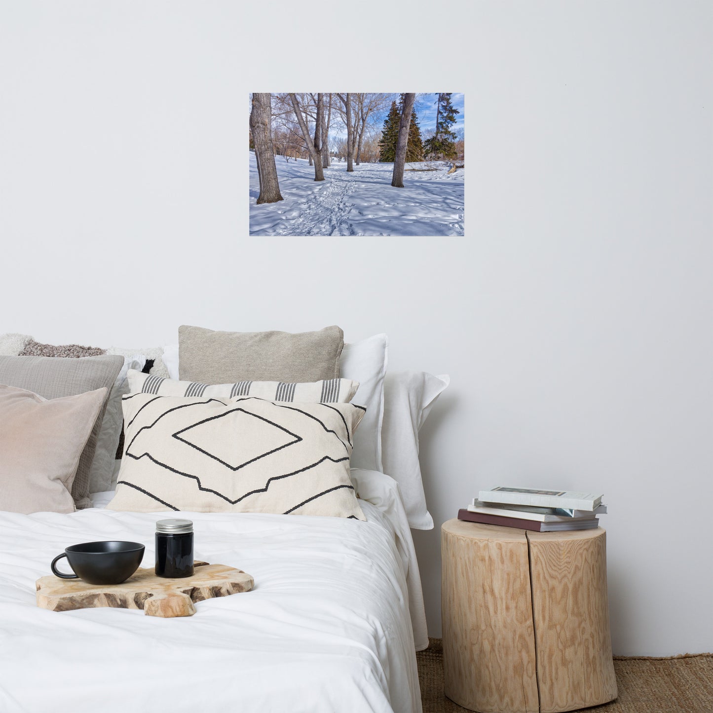 Matte Poster Print - Confederation Park Winter HDR