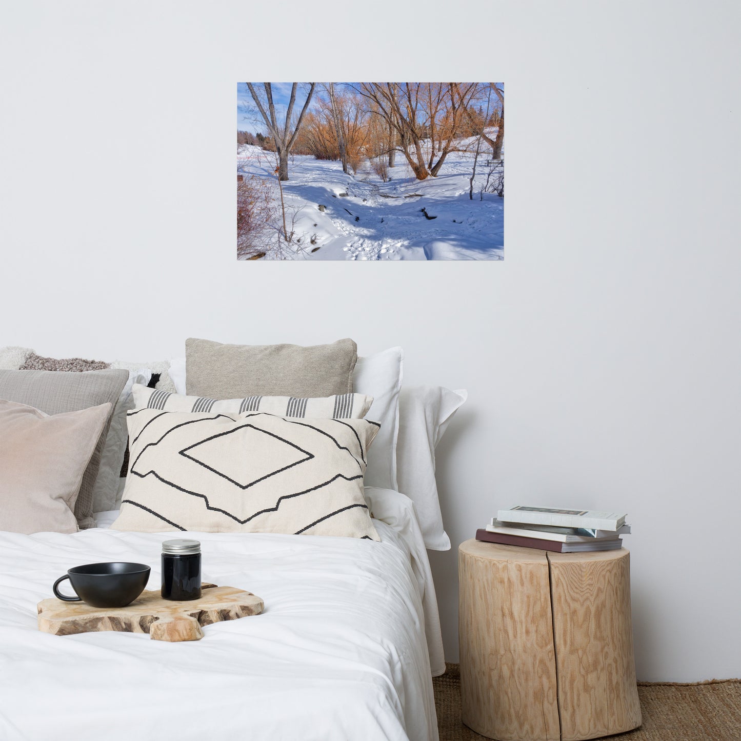 Matte Poster Print - Confederation Creek Winter HDR