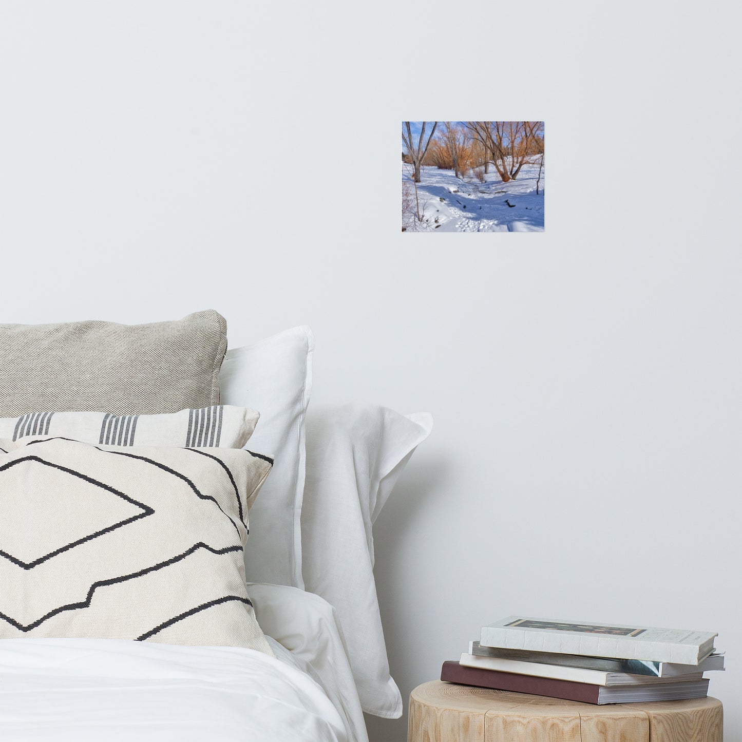 Matte Poster Print - Confederation Creek Winter HDR