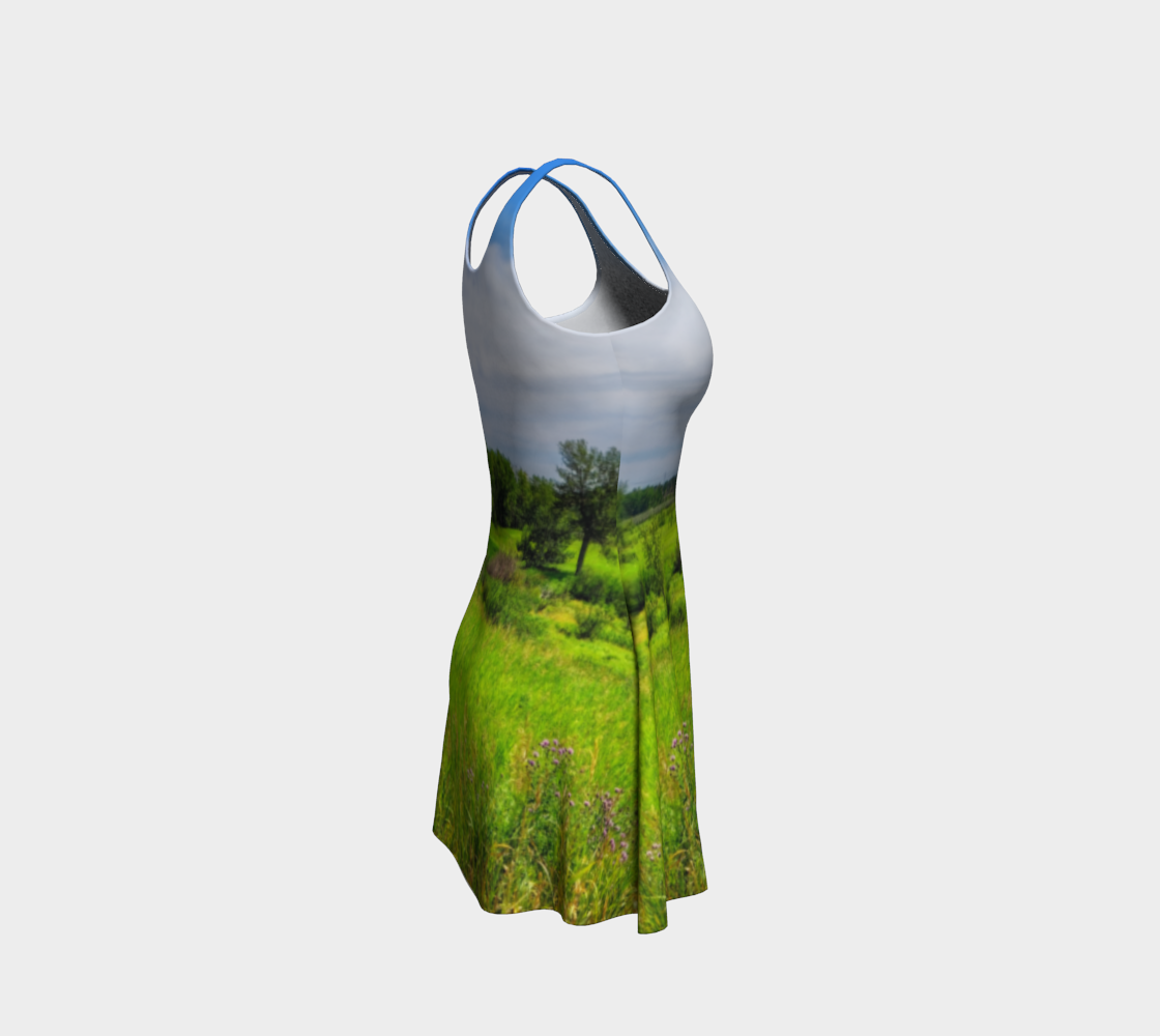 Flare Dress - Fish Creek Park Votier's Flats Meadow
