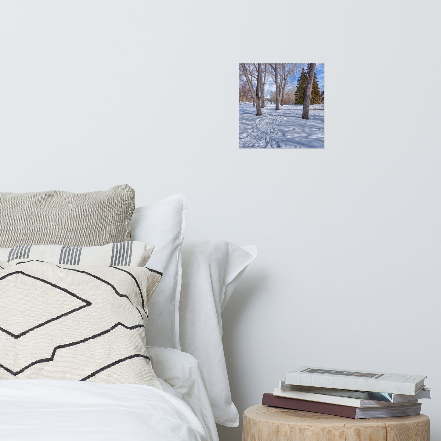 Lustre Poster Print - Confederation Creek Winter HDR