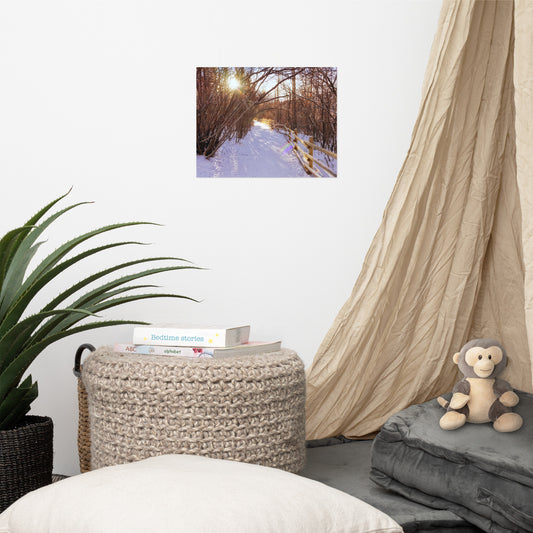Lustre Poster Print - Riverdale Park Forest Winter