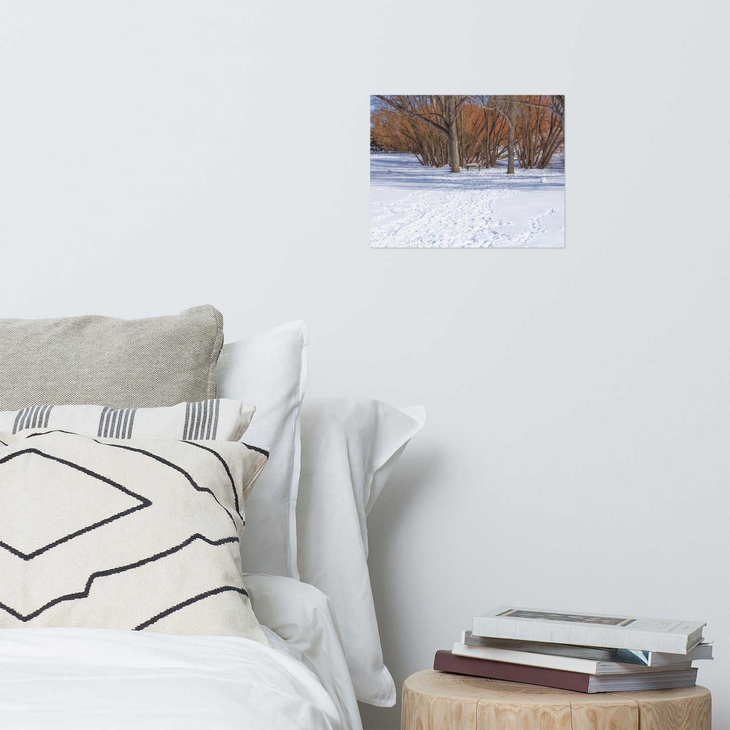 Lustre Poster Print - Confederation Park Winter