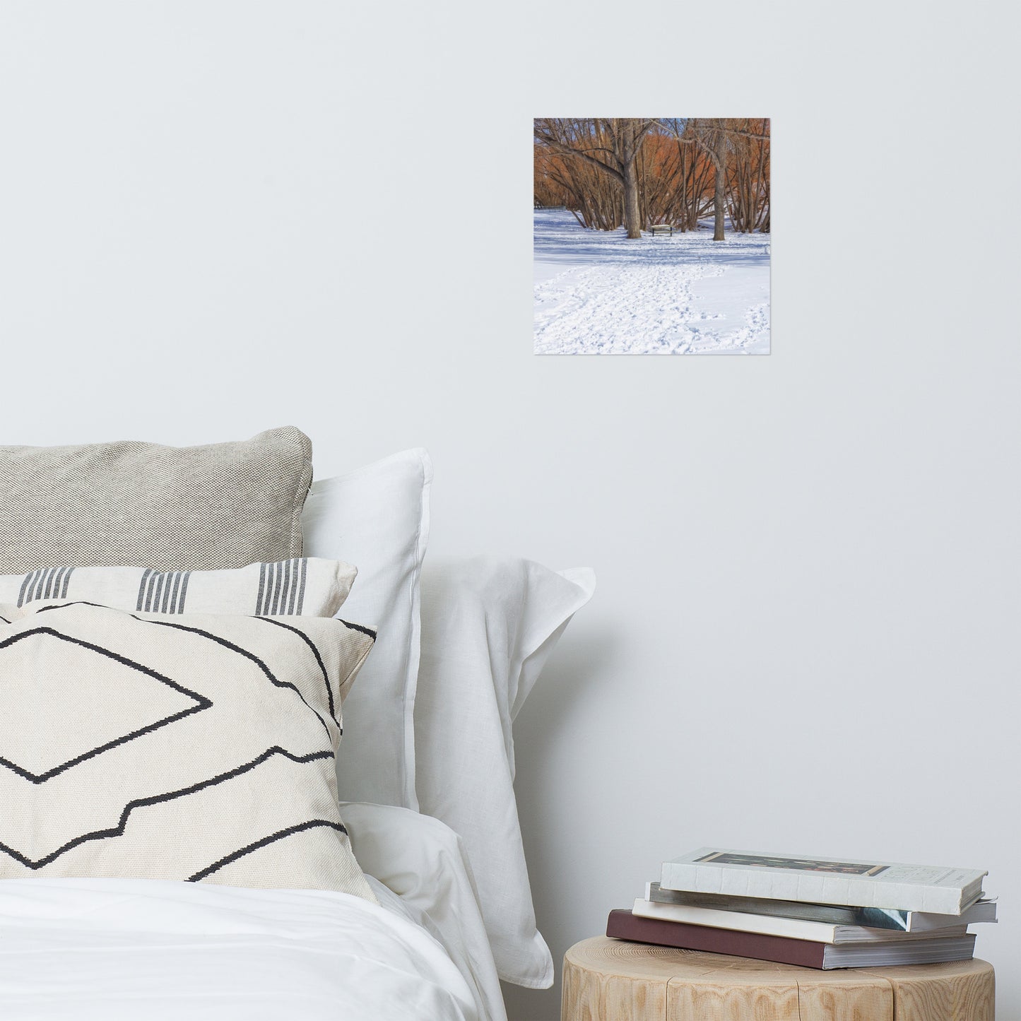 Lustre Poster Print - Confederation Park Winter