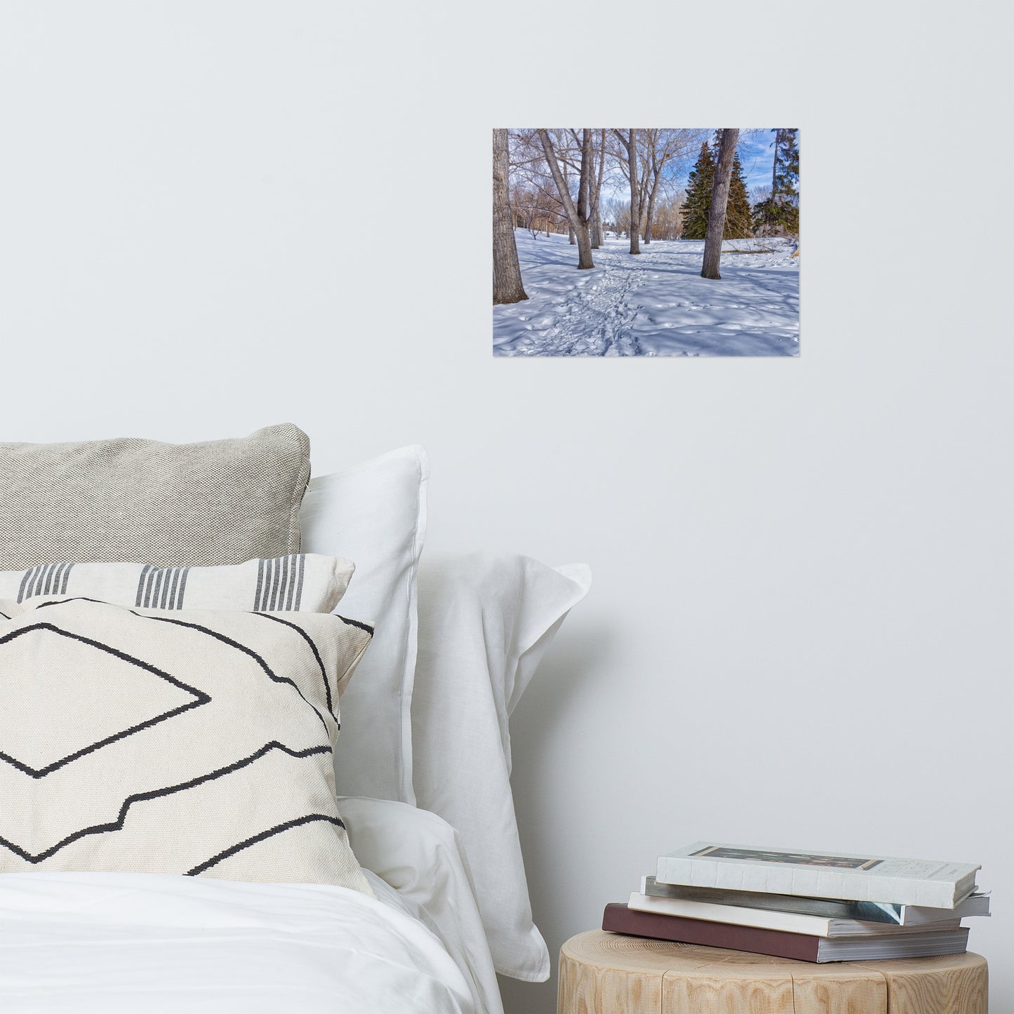 Lustre Poster Print - Confederation Creek Winter HDR