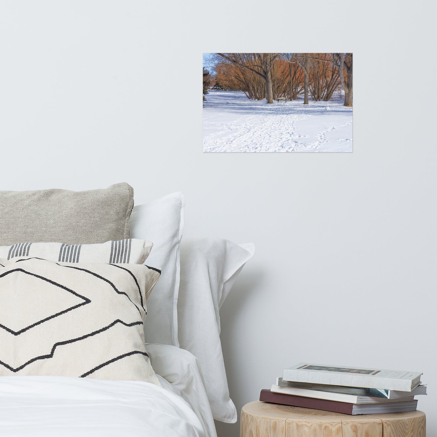 Lustre Poster Print - Confederation Park Winter
