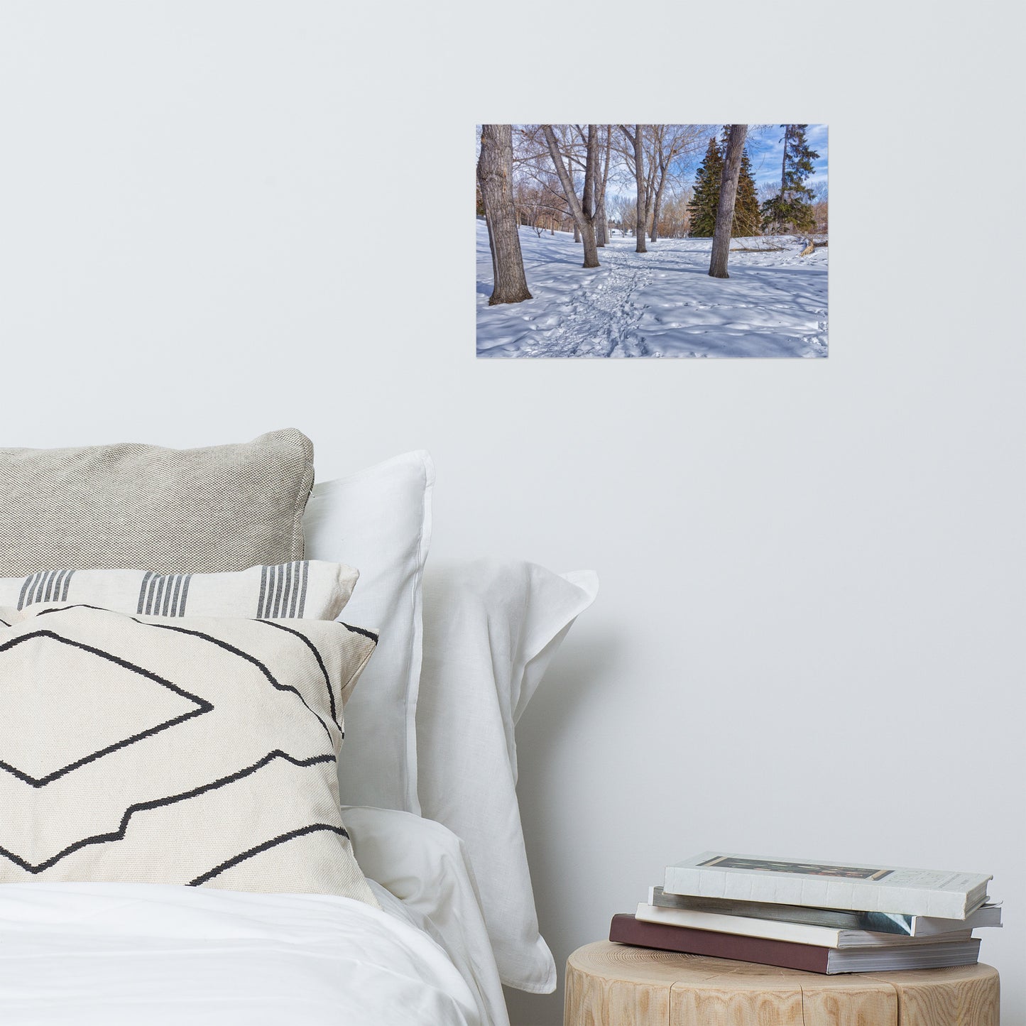 Lustre Poster Print - Confederation Park Winter HDR
