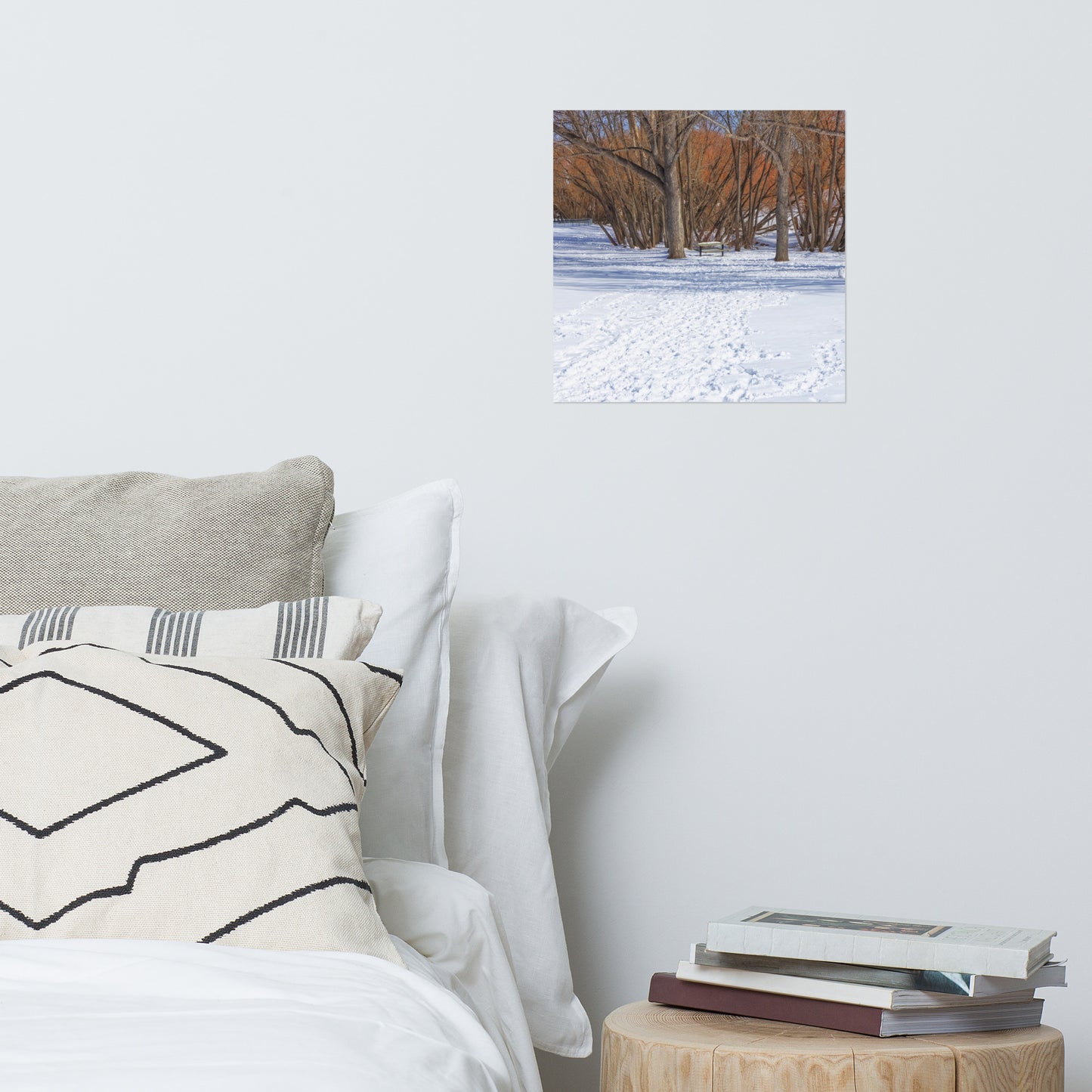 Lustre Poster Print - Confederation Park Winter