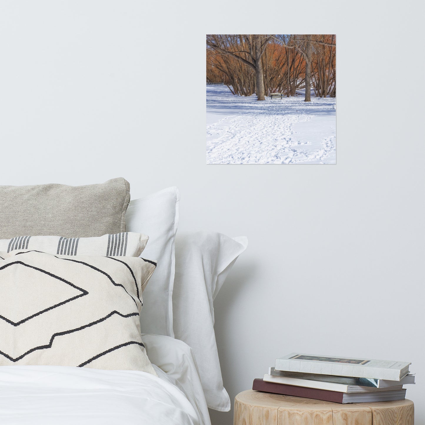 Lustre Poster Print - Confederation Park Winter