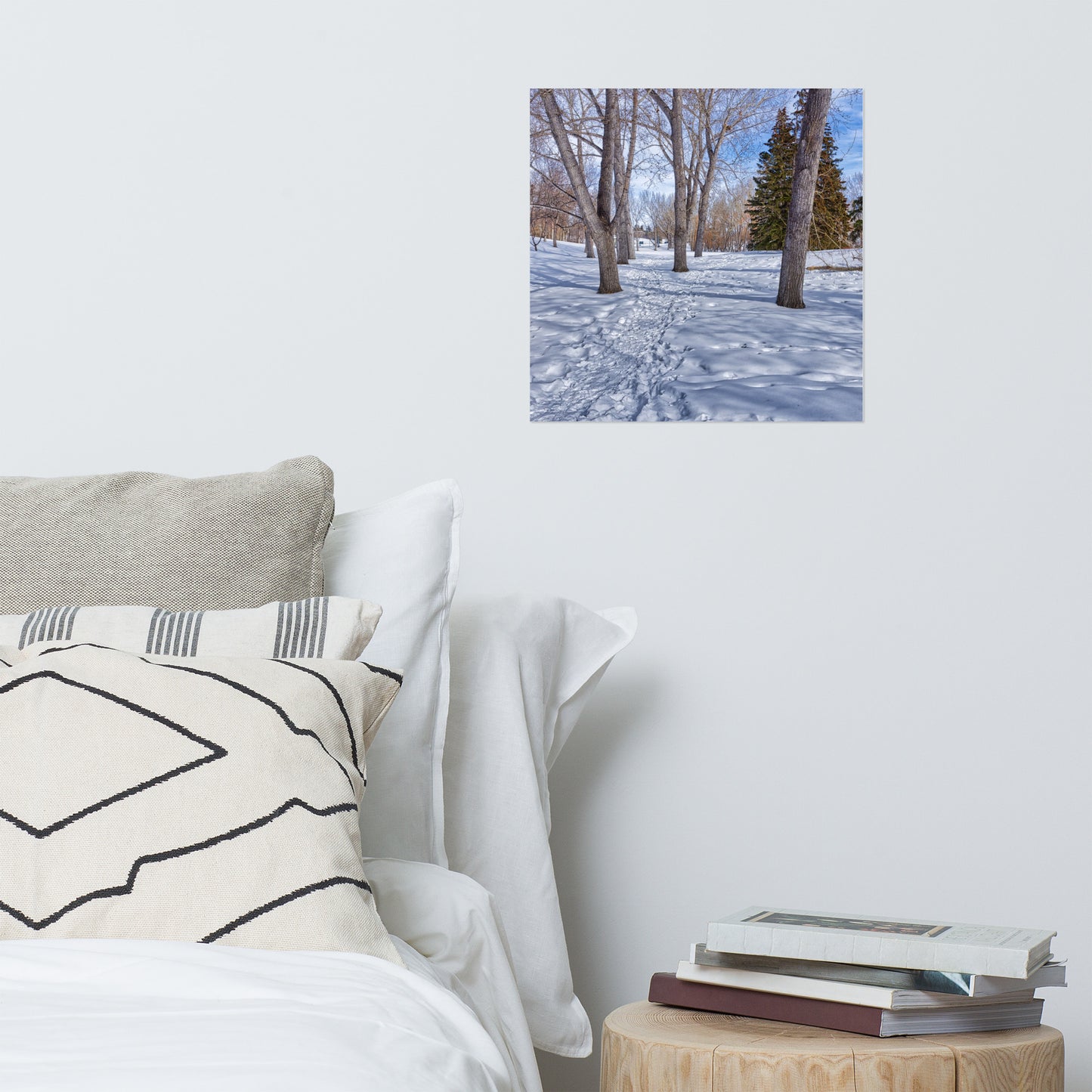 Lustre Poster Print - Confederation Creek Winter HDR