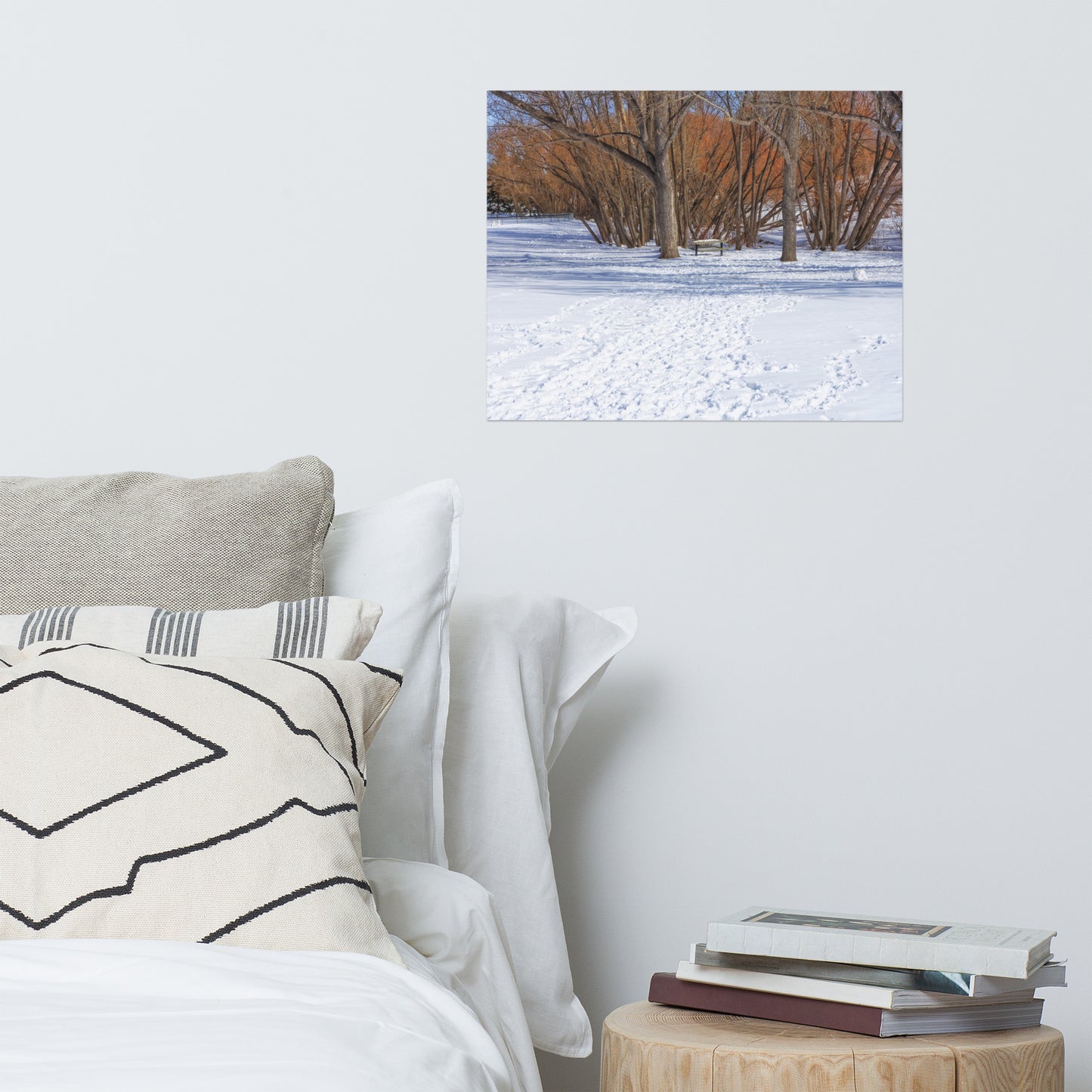 Lustre Poster Print - Confederation Park Winter