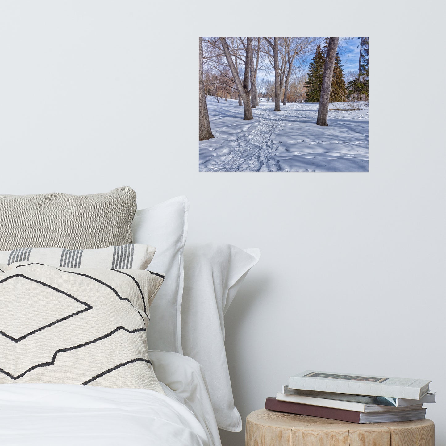 Lustre Poster Print - Confederation Creek Winter HDR