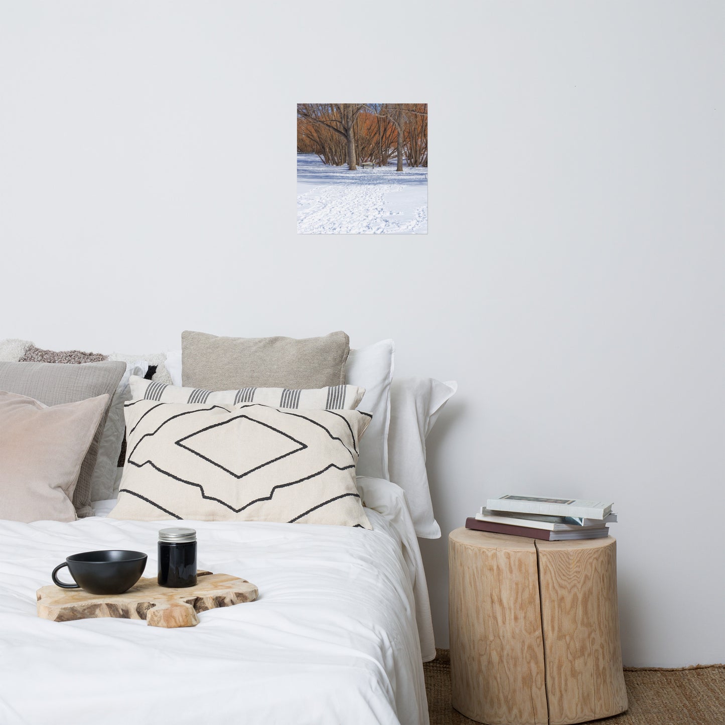 Lustre Poster Print - Confederation Park Winter