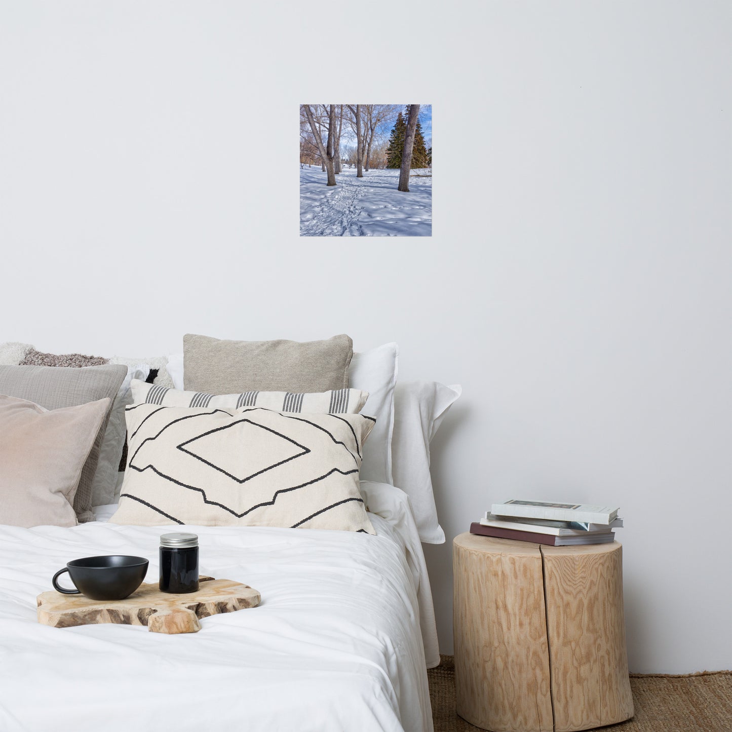 Lustre Poster Print - Confederation Park Winter HDR