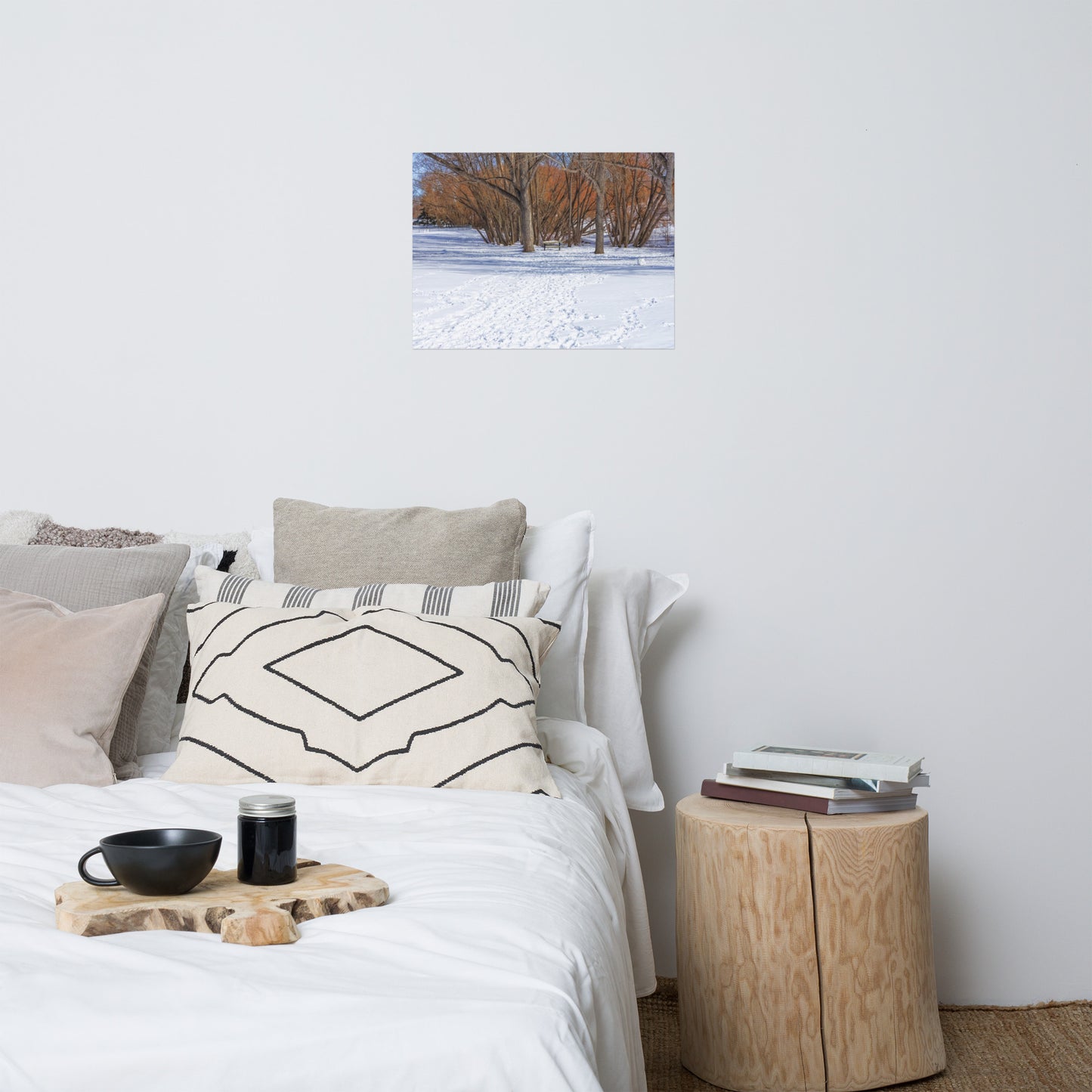 Lustre Poster Print - Confederation Park Winter
