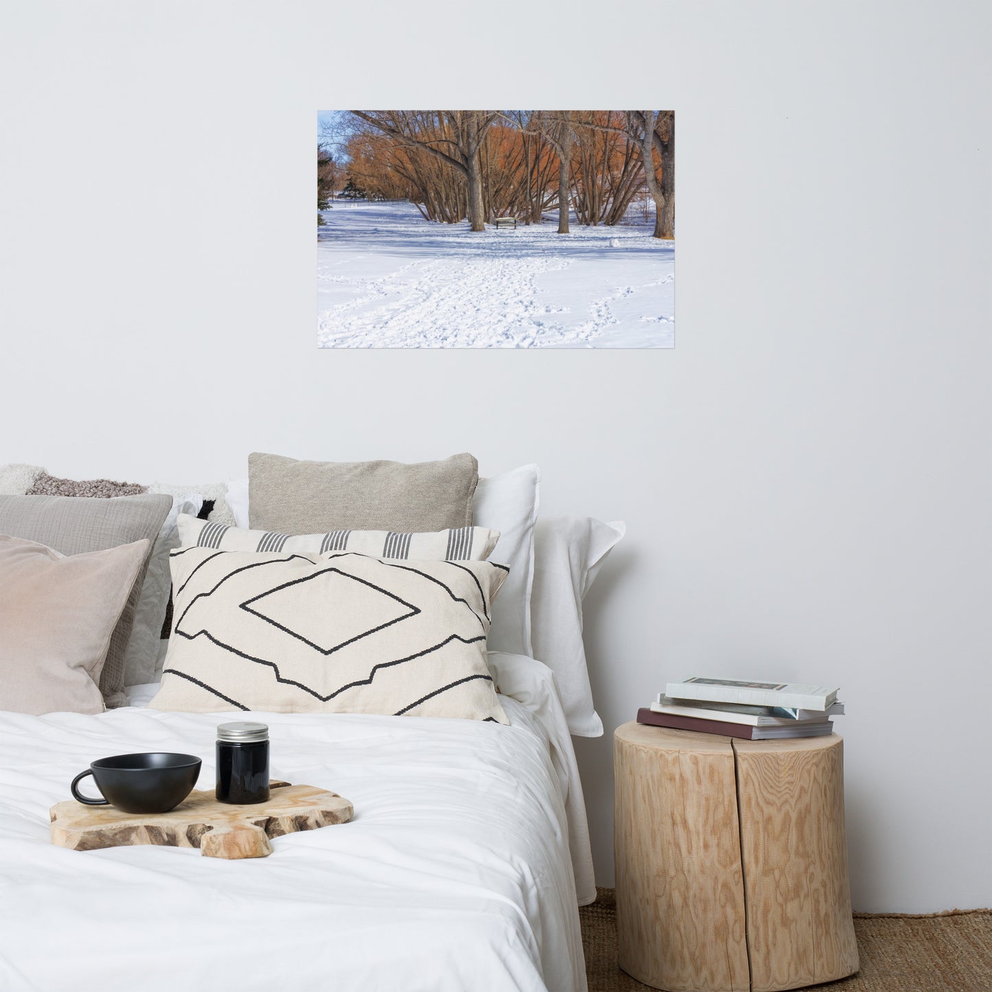 Lustre Poster Print - Confederation Park Winter