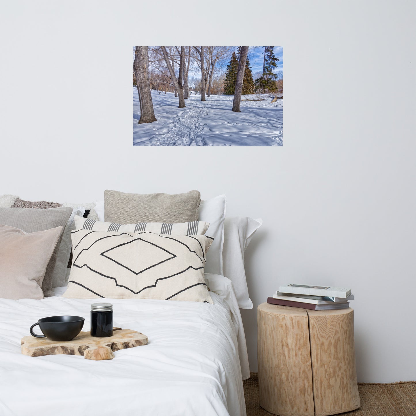 Lustre Poster Print - Confederation Park Winter HDR