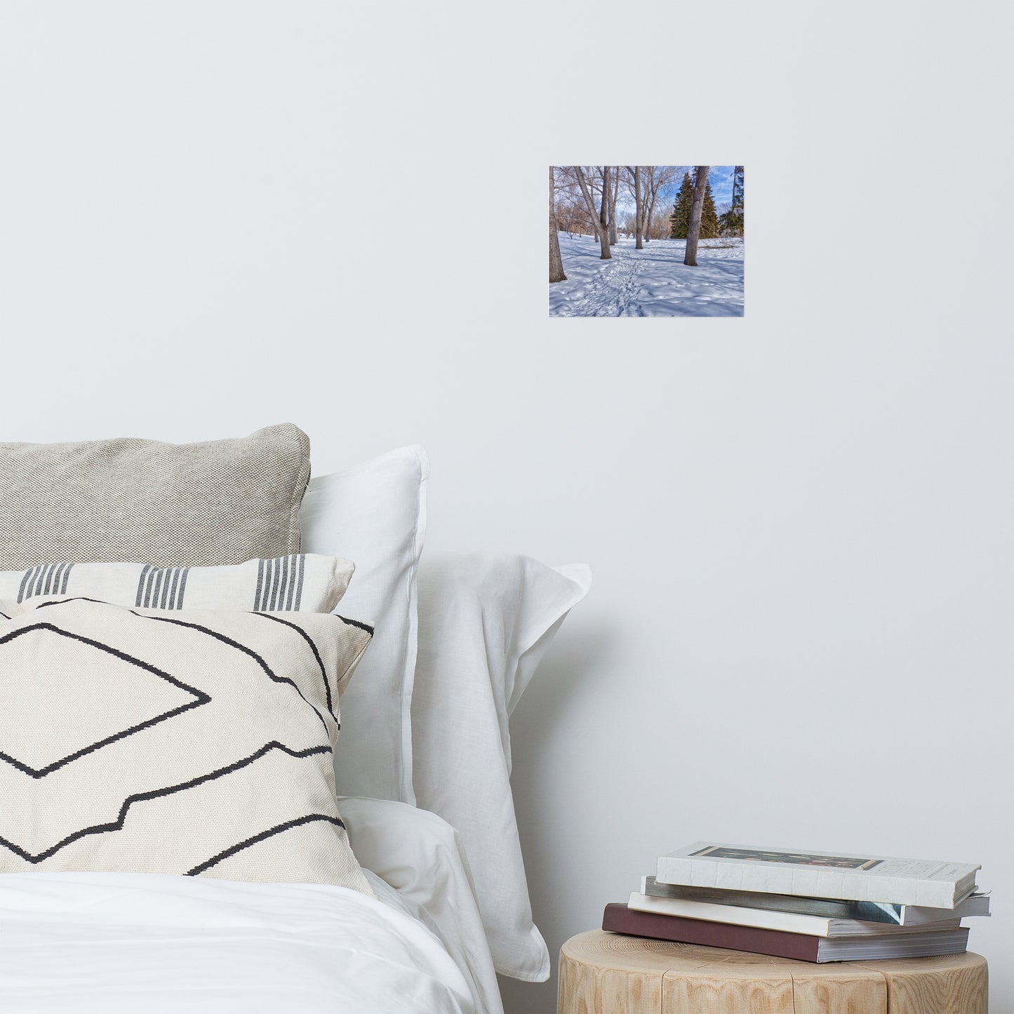 Lustre Poster Print - Confederation Park Winter HDR