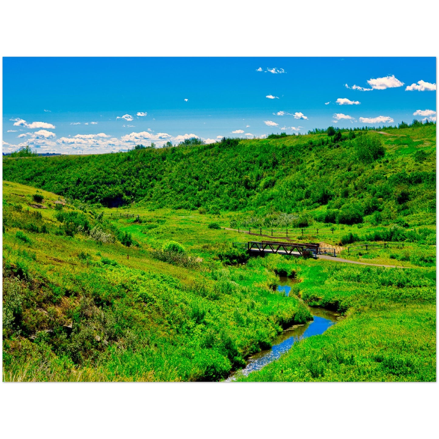 Foam Print - West Nose Creek Park