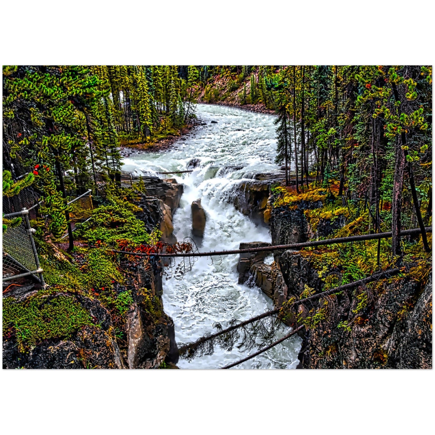 Premium Semi-Glossy Poster Print - Sunwapta Falls HDR
