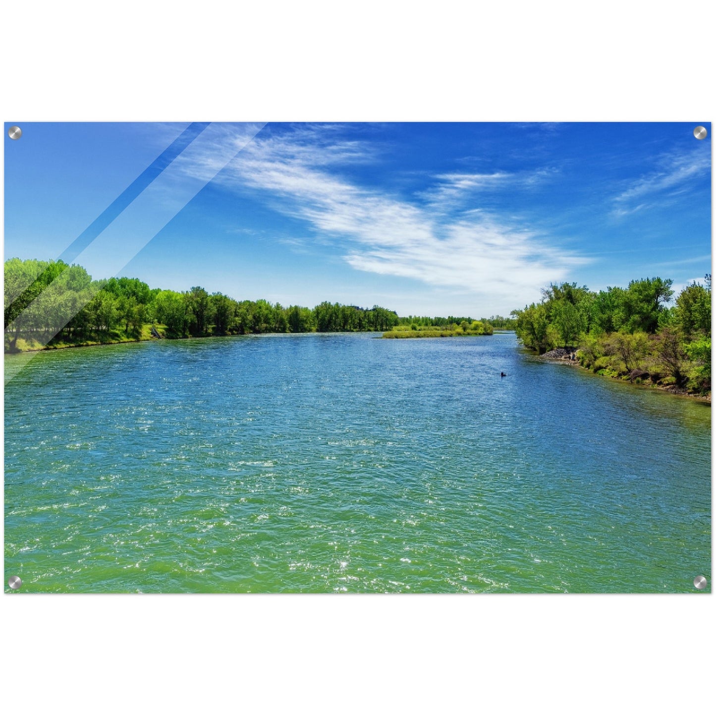 Acrylic Print - Bow River Eric Harvie Bridge Spring