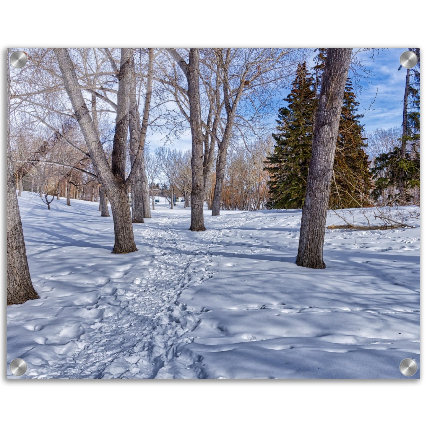 Acrylic Print - Confederation Park Winter HDR