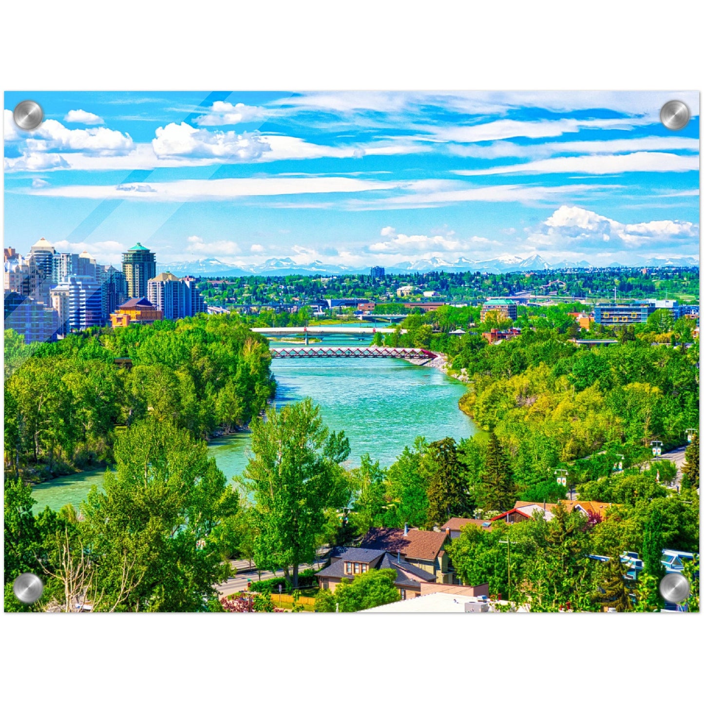 Acrylic Print - McHugh Bluff Bow River Peace Bridge Spring HDR