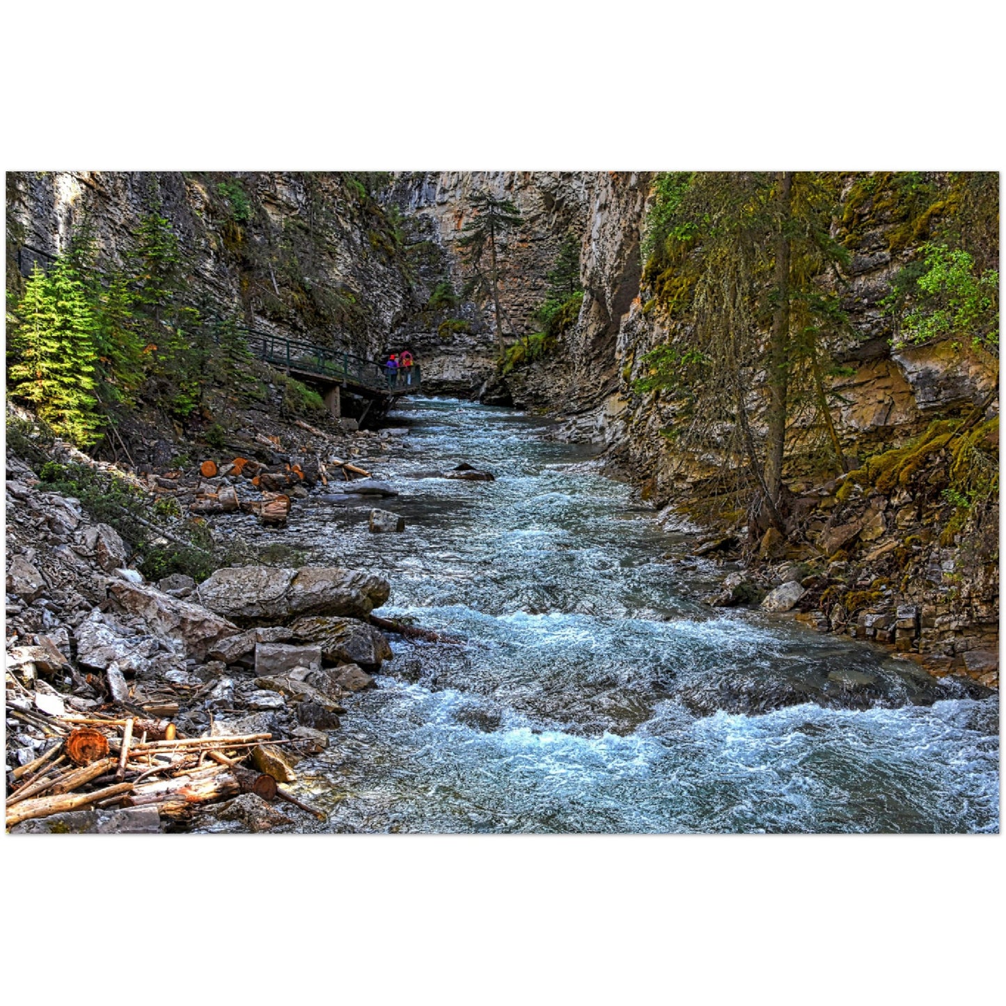 Premium Semi-Glossy Poster Print - Johnson Canyon Johnston Creek