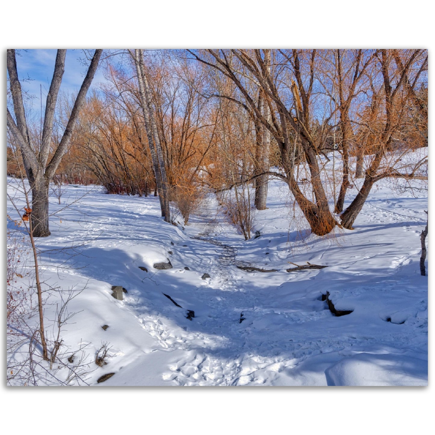 Premium Semi-Glossy Poster Print - Confederation Creek Winter HDR