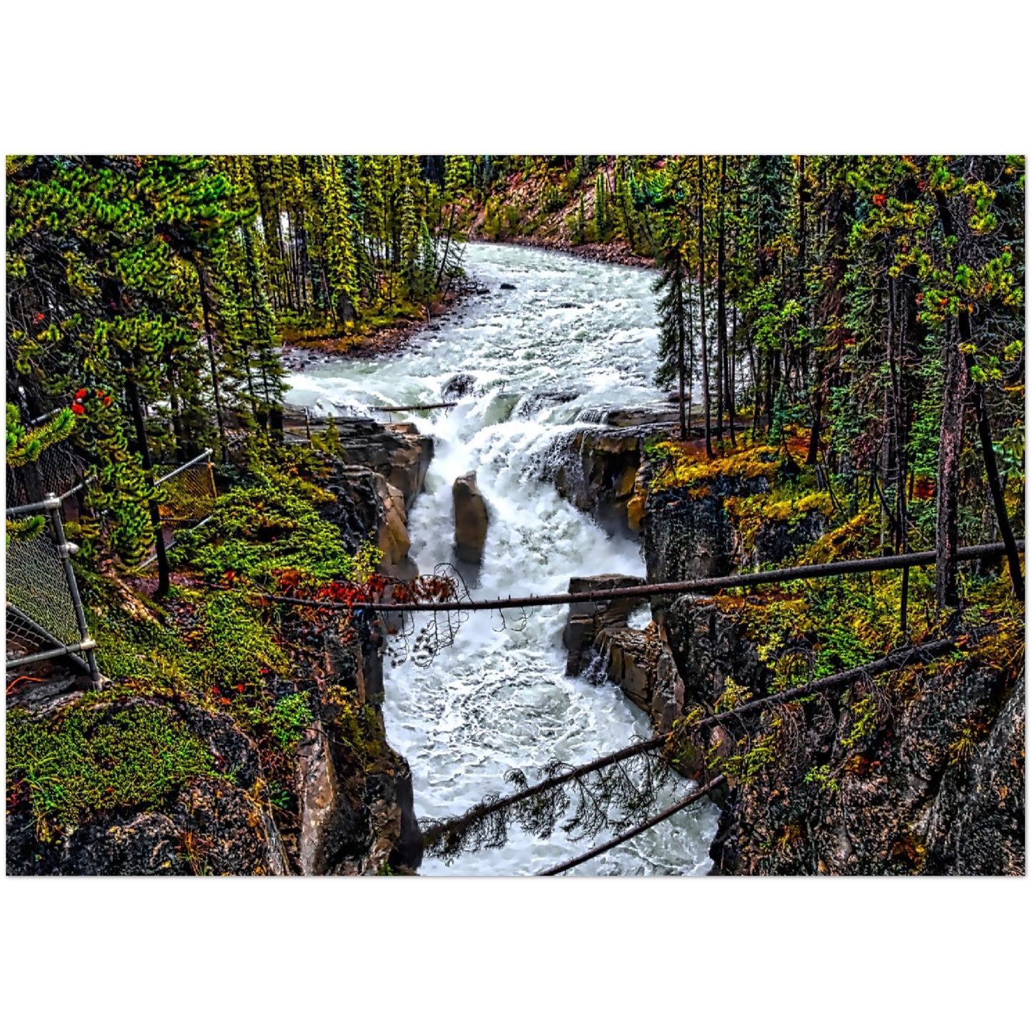 Premium Semi-Glossy Poster Print - Sunwapta Falls HDR