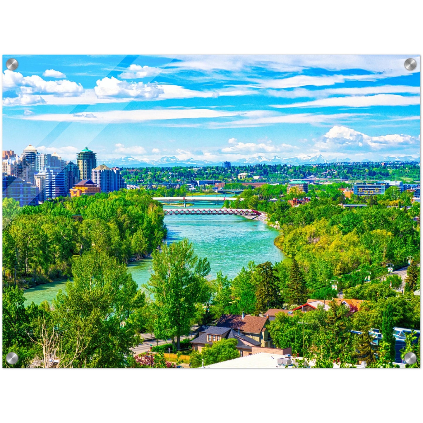 Acrylic Print - McHugh Bluff Bow River Peace Bridge Spring HDR